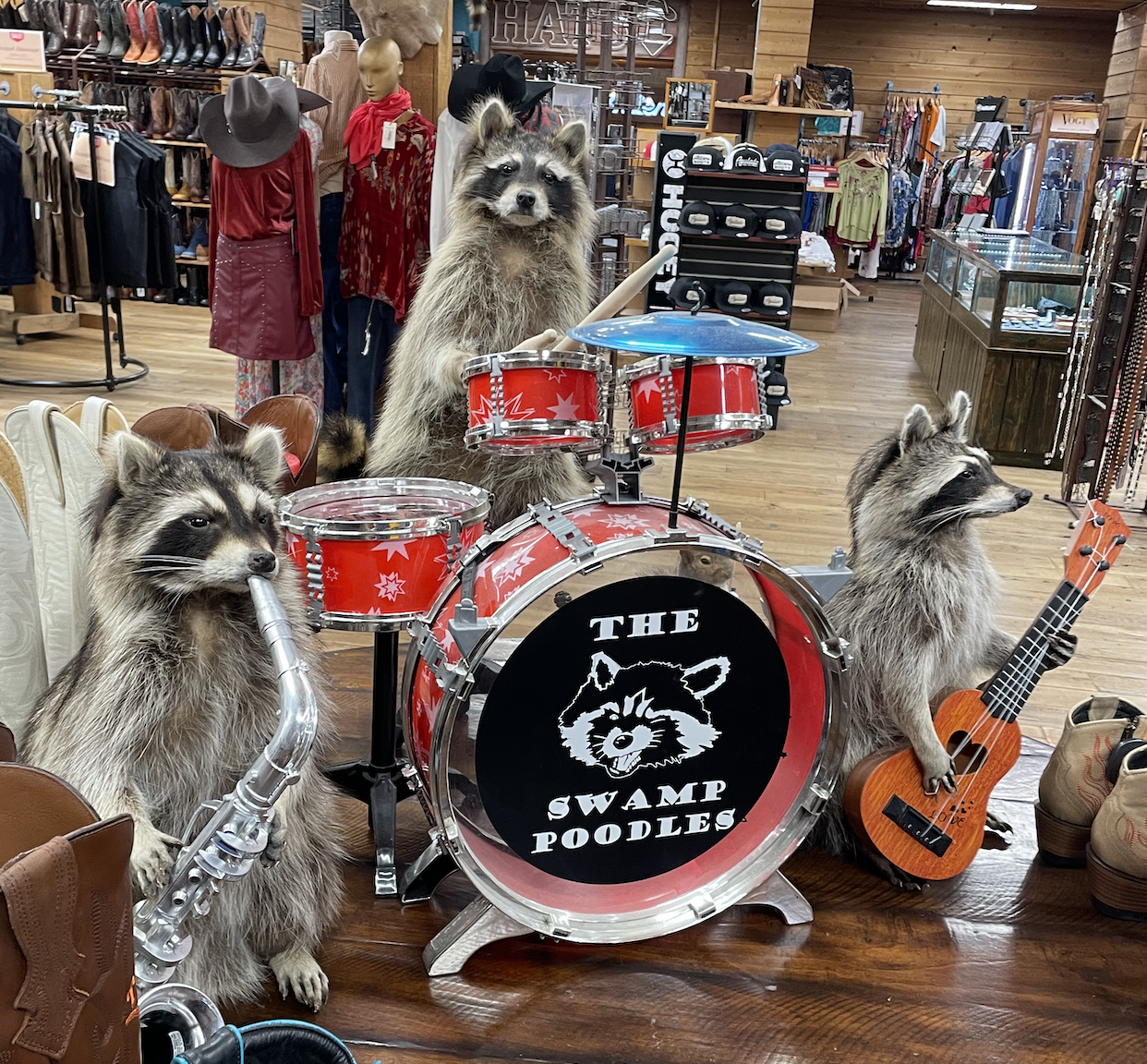 Raccoon band featured at Allen's Boots in downtown Austin, Texas.